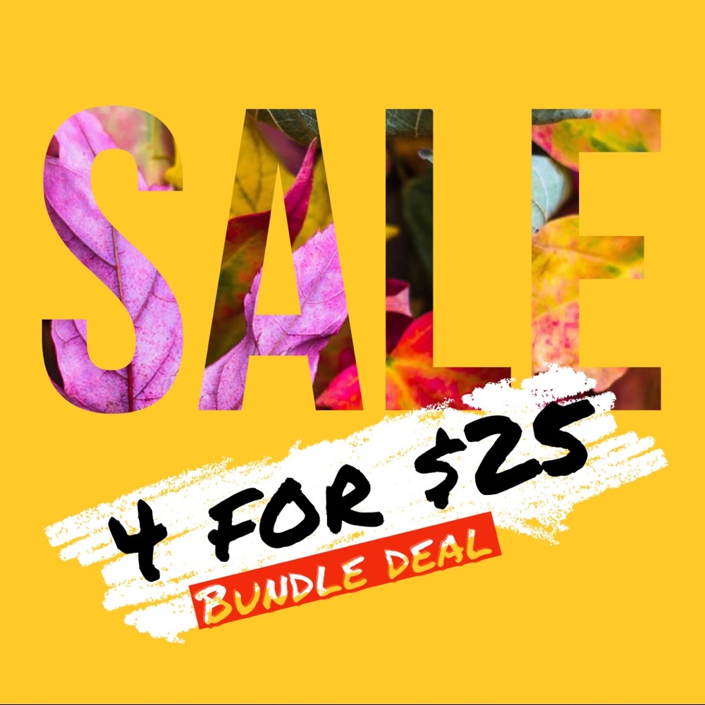 Bundle 4 items for $25!